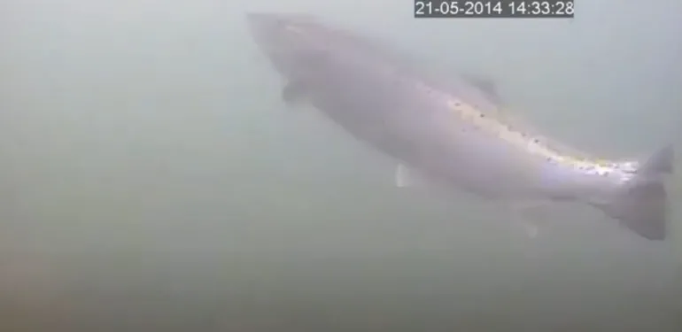 Onderwatercamera