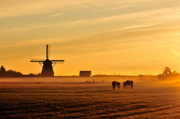 Inventarisatie en monitoring
