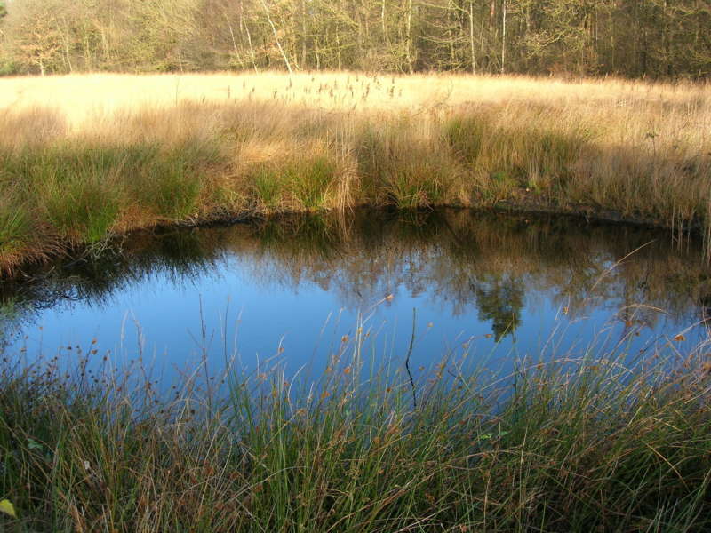 Heideven