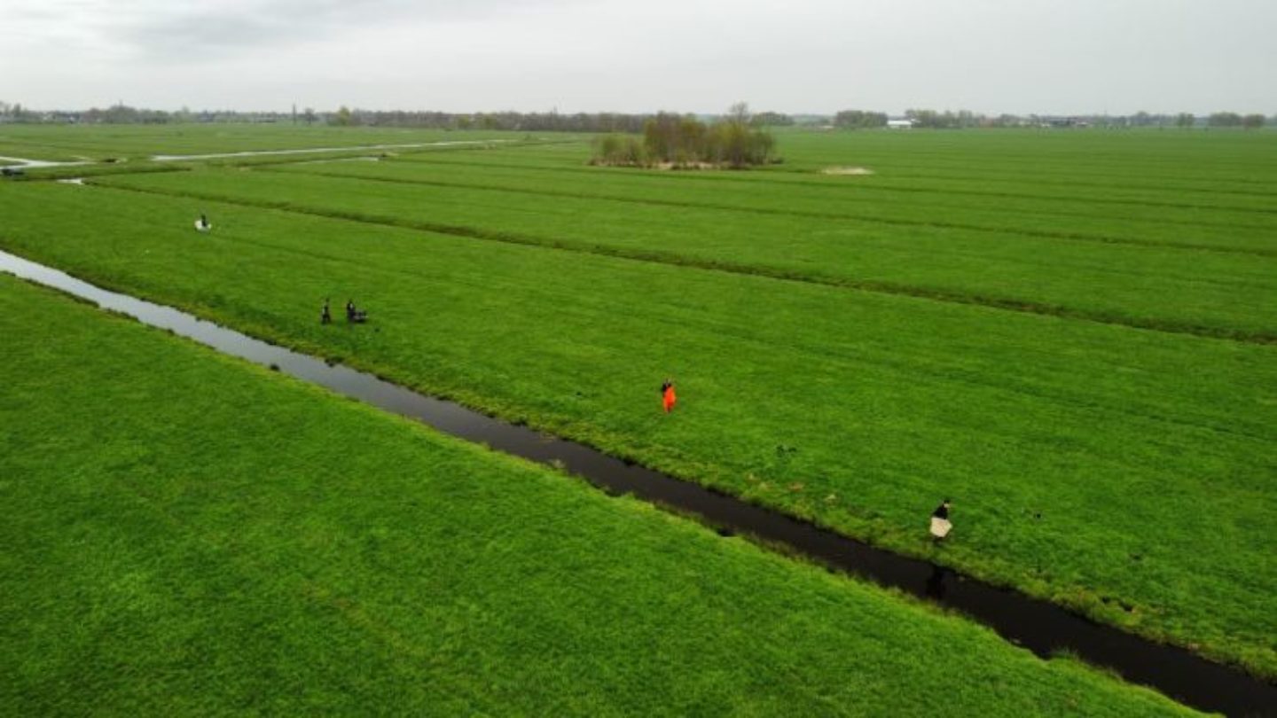 Wegvangen rivierkreeften heeft zin