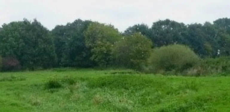 Potentie ontwikkeling stroomdalgraslanden langs de Dinkel