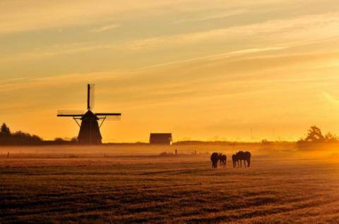 Inventarisatie en monitoring