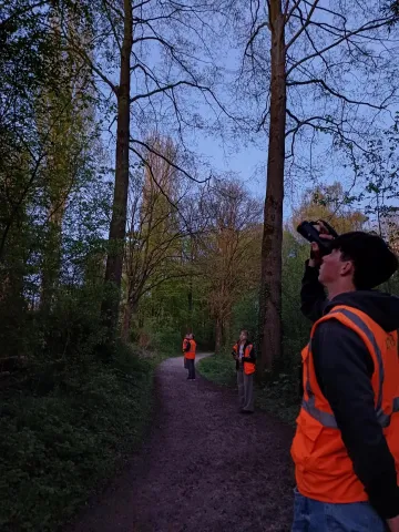 Op zoek naar vleermuizen