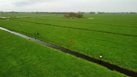 Wegvangen rivierkreeften heeft zin