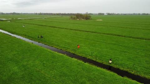 Wegvangen rivierkreeften heeft zin
