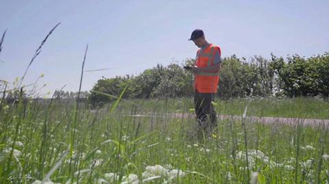 Veldwerk, teken en de ziekte van Lyme