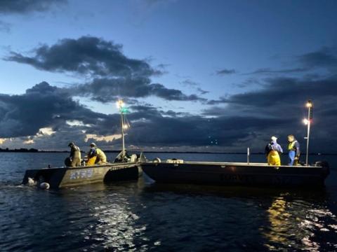 Groot visonderzoek in Friese wateren