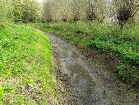 Droogte en vis