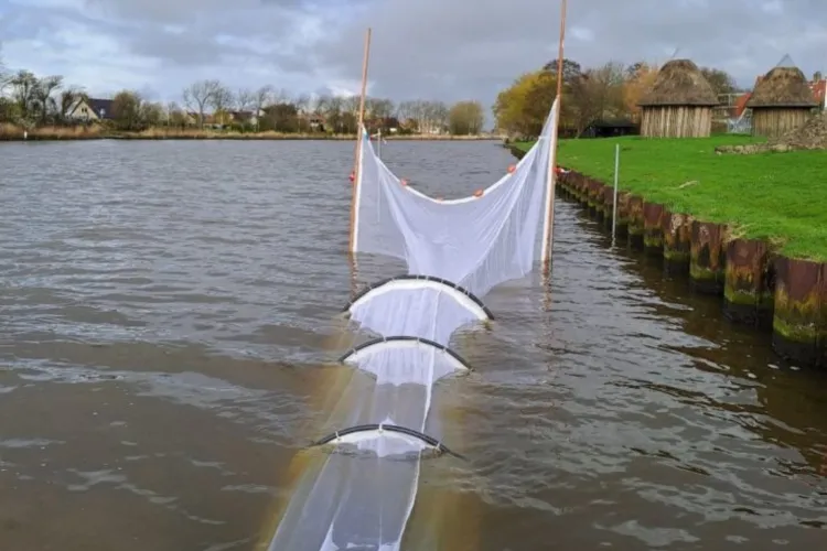 Bubble Barrier