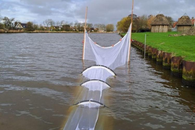 Bubble Barrier