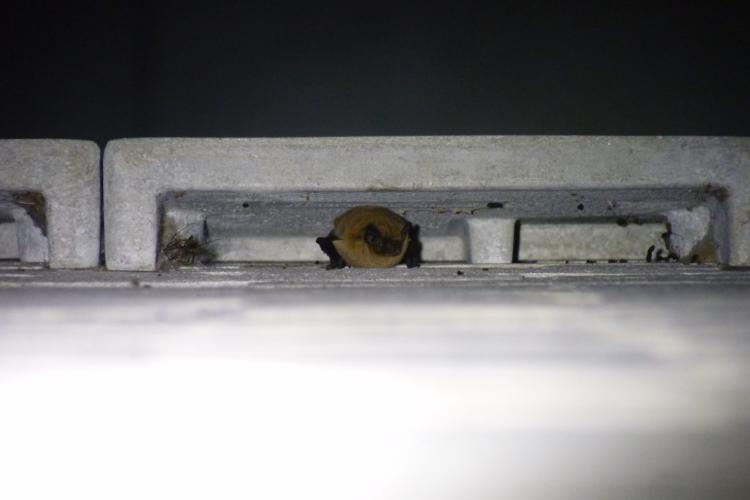 https://www.at-kb.nl/uploads/images/news/_w1440/42025/P1550447.jpg