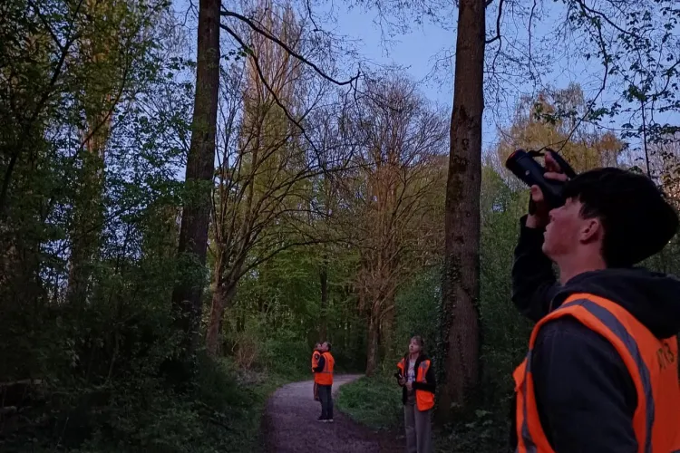 Op zoek naar vleermuizen