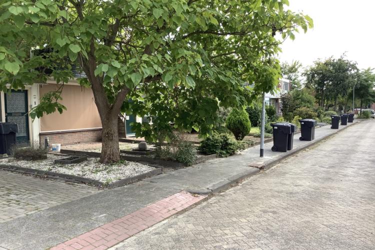 Biologisch afbreekbare peilbuizen in Appingedam