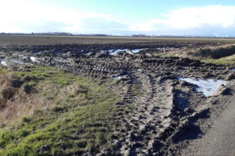 Bodemonderzoek en sanering voor een toekomstbestendig watersysteem in Zeeuws-Vlaanderen