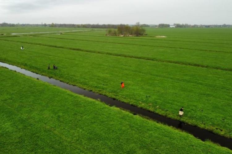 Wegvangen rivierkreeften heeft zin