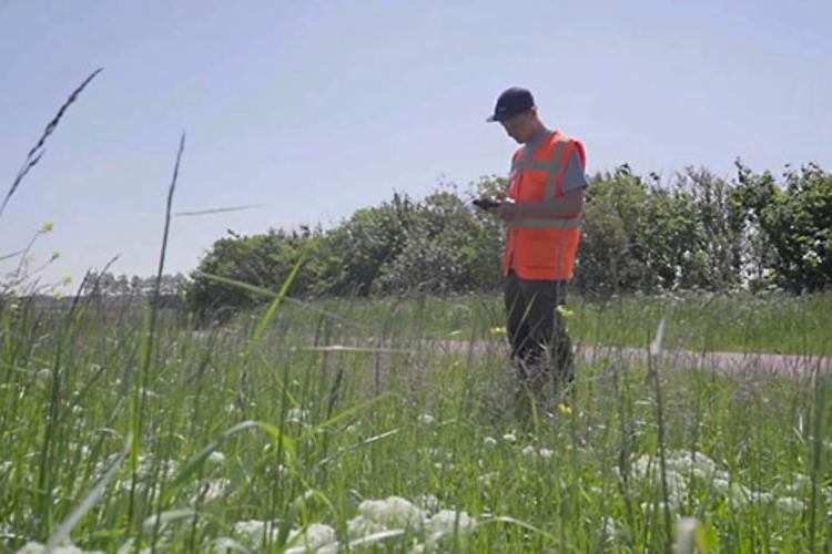 Veldwerk, teken en de ziekte van Lyme