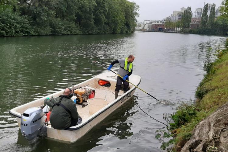 Visstandonderzoek in Merwedekanaal