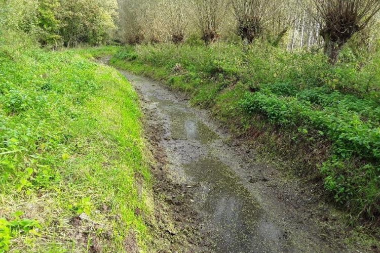Droogte en vis