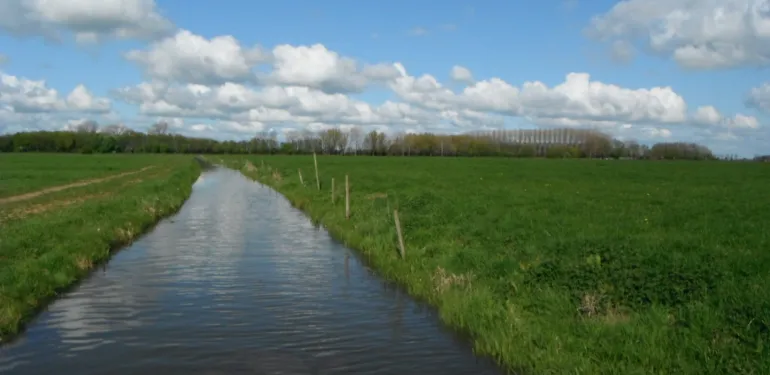 Natuurbeheer en -beleid