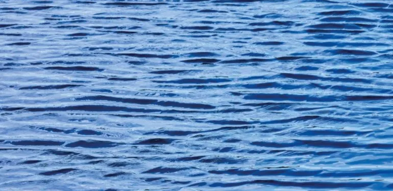 Aquatische Ecologie