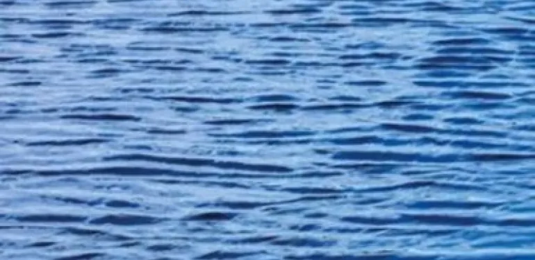 Aquatische Ecologie