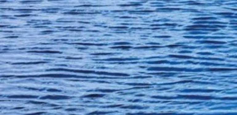 Aquatische Ecologie