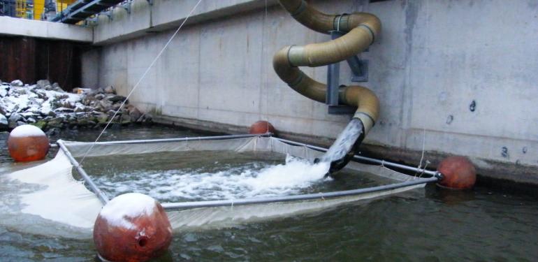 Koelwater