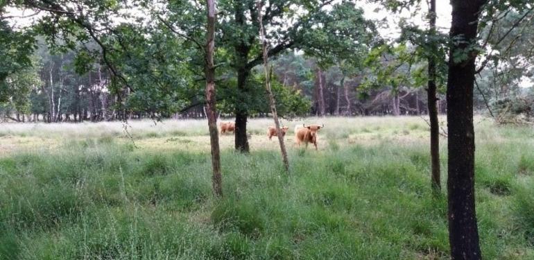 Ecologische ondersteuning gebiedsprocessen