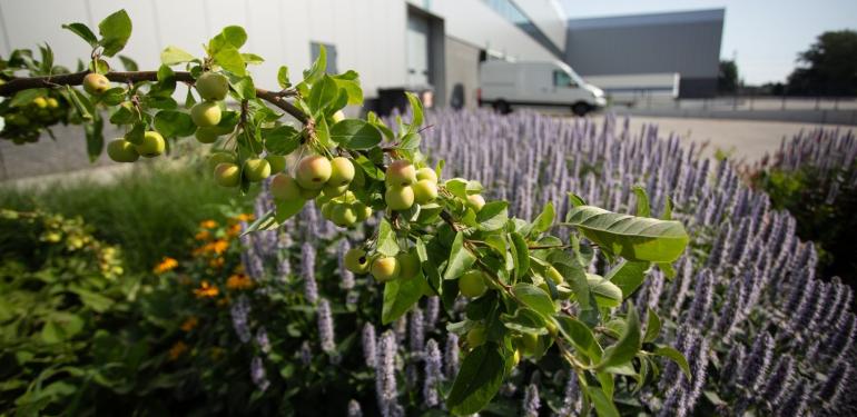 Bent u al klaar voor de nieuwe BREEAM beoordelingsrichtlijn?