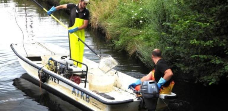 Vissen in de Barneveldse Beek