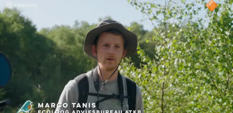 Marco Tanis