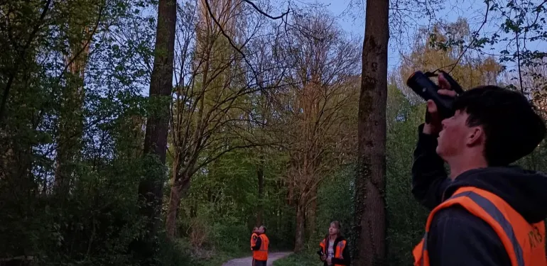 Op zoek naar vleermuizen