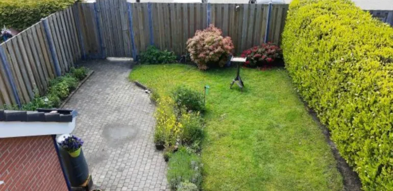 Duizend soorten in de tuin van Rudy
