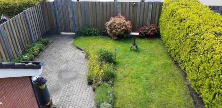 Duizend soorten in de tuin van Rudy
