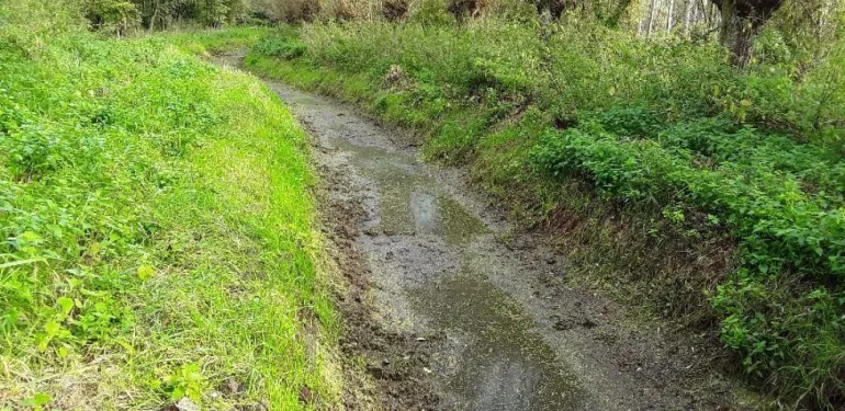 Droogte en vis
