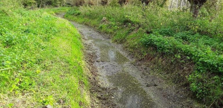 Droogte en vis