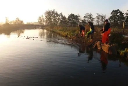 Veldonderzoeker Aquatische Ecologie te Waardenburg