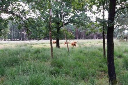 Fulltime, Assen, Waardenburg, Wageningen, Zoetermeer Senior Adviseur Gebiedsbescherming
