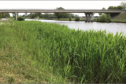 (Water)bodemonderzoek verruimen Twentekanalen