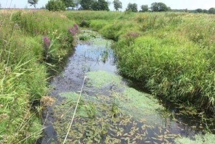 Beekkartering Drentsche Aa