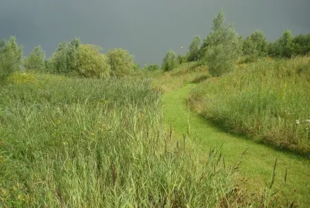 Beheerplan NAM-park Grijpskerk