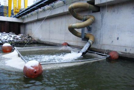 Koelwater