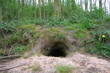 Graafgangen opsporen