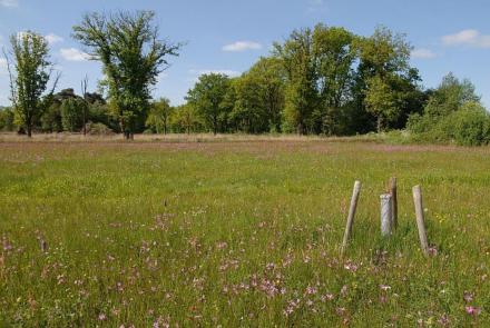 Landschapsecologische systeemanalyse LESA