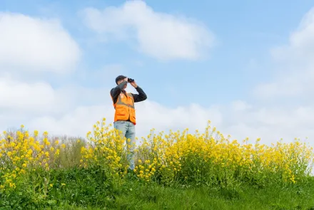 Teamleider Terrestrische Ecologie