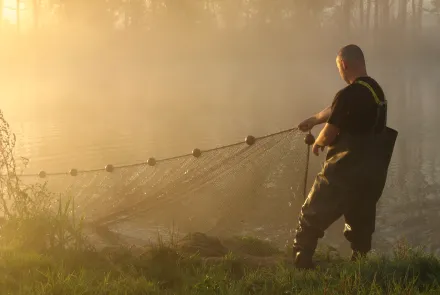 Visnet ophalen in zonsopgang
