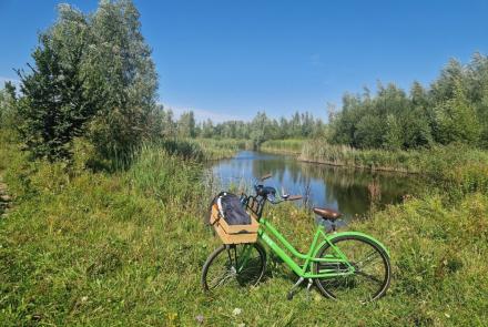 Monitoring van de ecologische kwaliteit van groengebieden en verbindingszones in de Gemeente Amsterdam