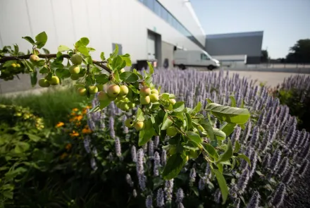 Bent u al klaar voor de nieuwe BREEAM beoordelingsrichtlijn?