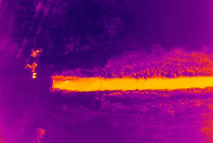 Figuur X; Droneaanzicht met normale camera (links) en met thermische camera (rechts), op een spectrum van paars/blauw (koud) naar oranje/geel (warm)