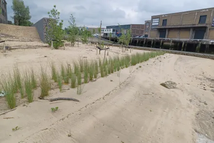 Getijdenpark Keilehaven.